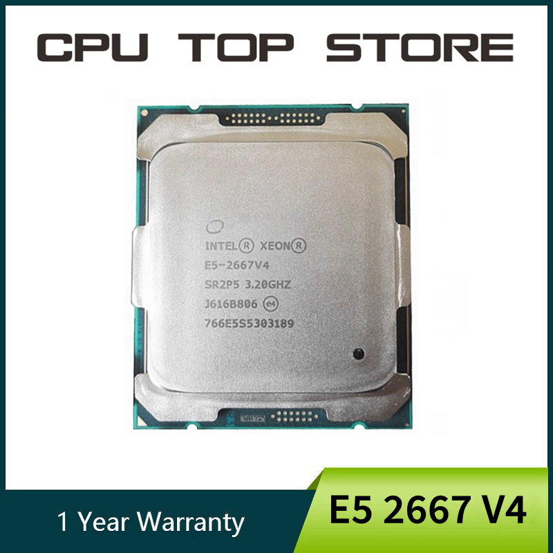 Intel Xeon E5 2667 V4 2667V4 3 - Gold 6248R 리뷰 및 가격
